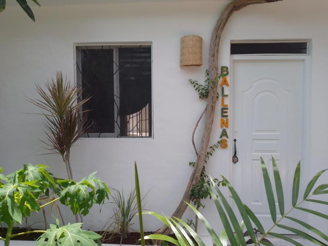 Ferienwohnung New Moringa Las Terrenas Exterior foto