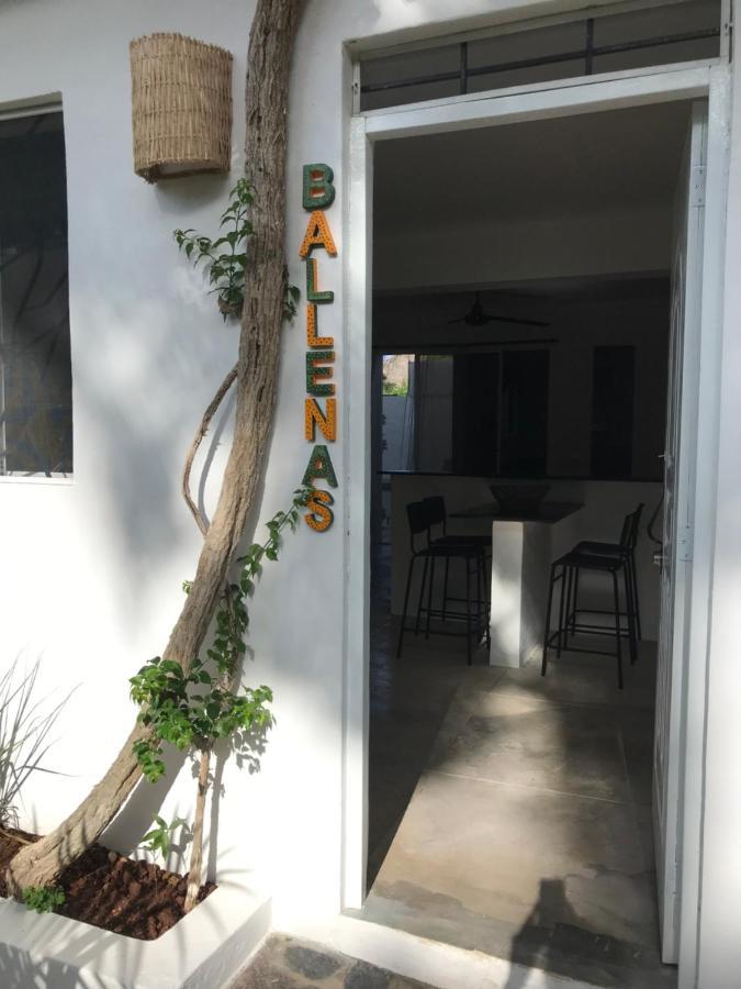 Ferienwohnung New Moringa Las Terrenas Exterior foto