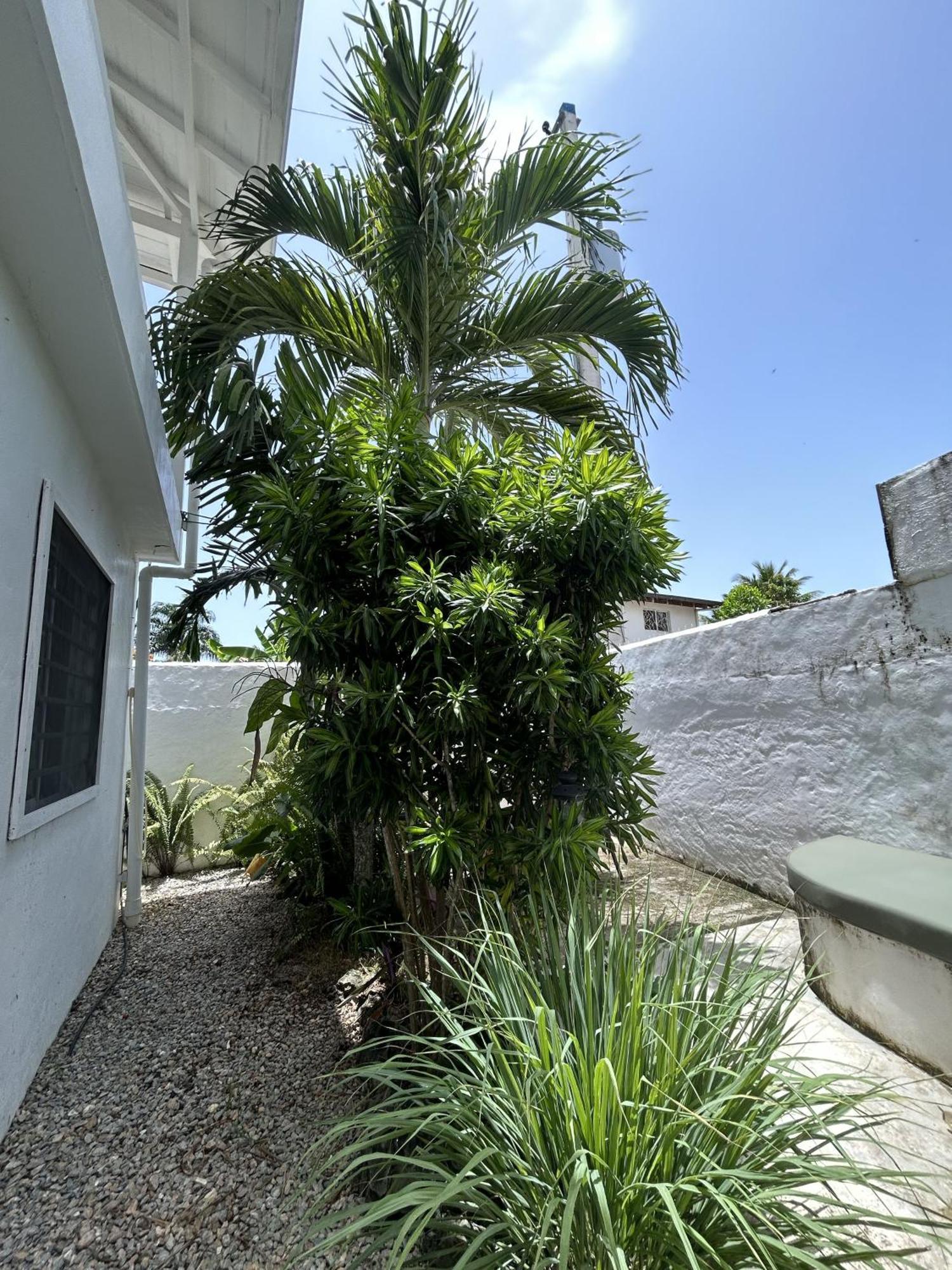 Ferienwohnung New Moringa Las Terrenas Exterior foto